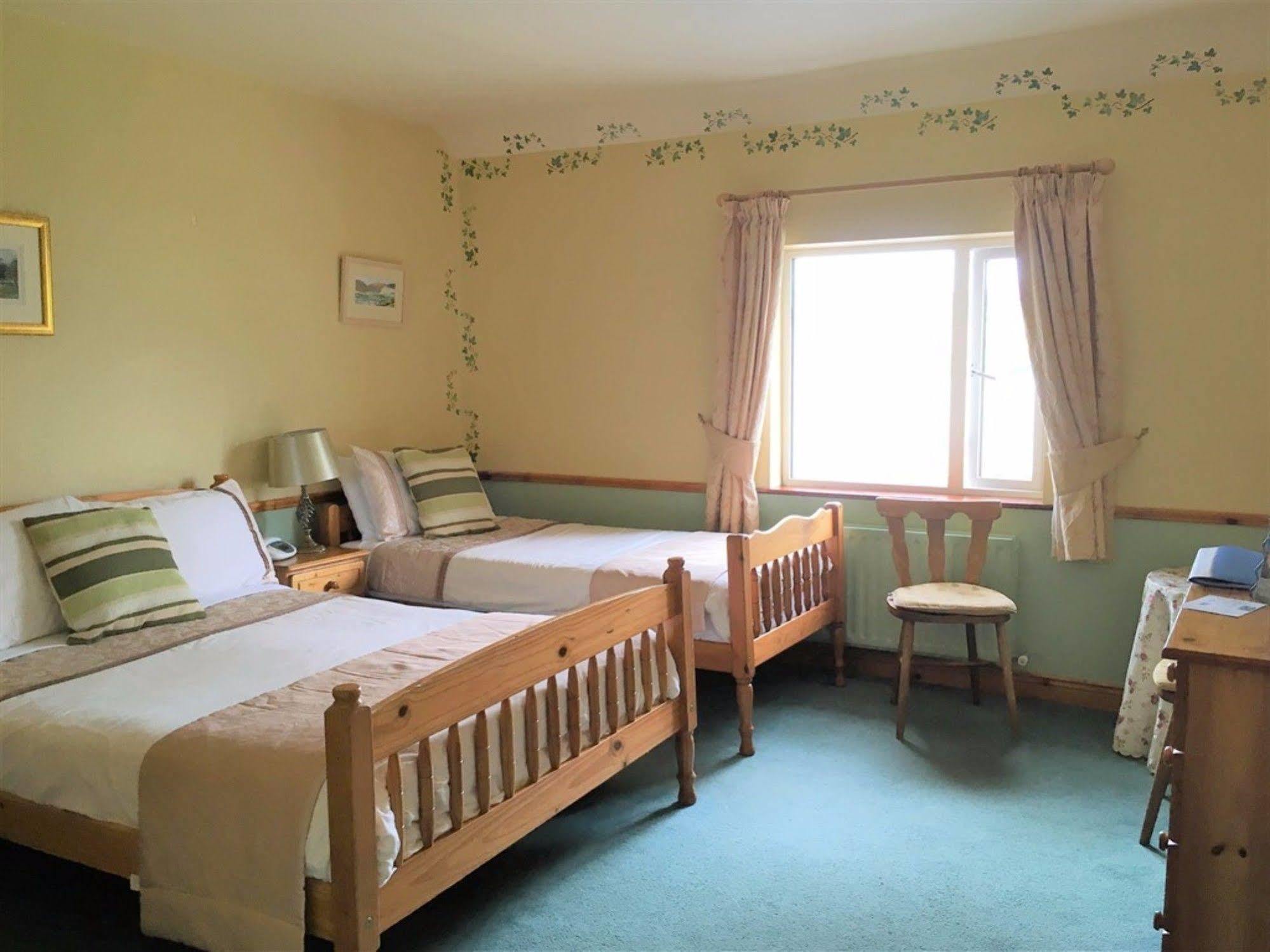 O'Connor'S Guest House Dingle Exteriér fotografie
